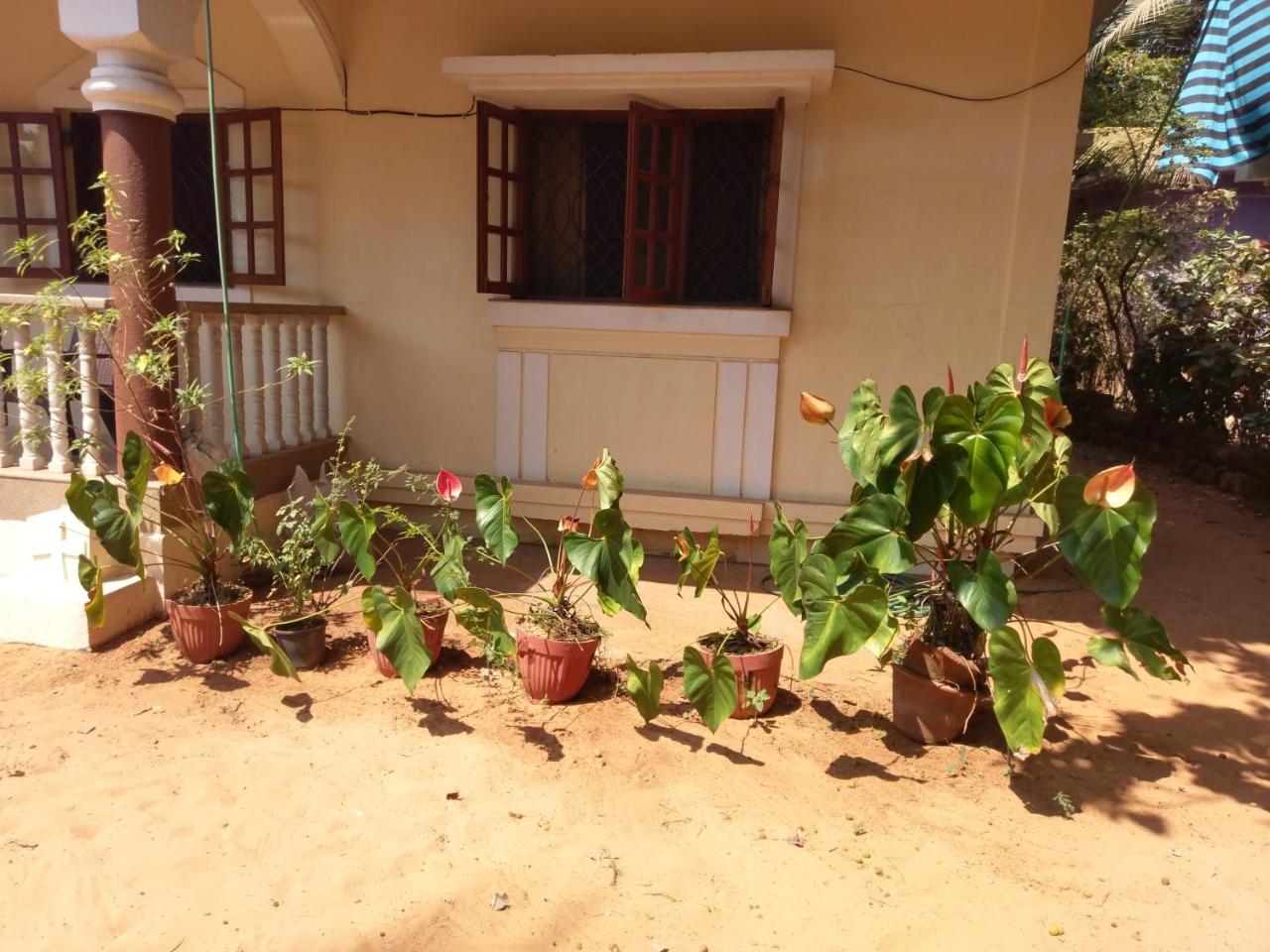 21In Guest House Calangute Exterior foto